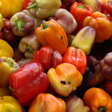 Mixed Peppers2